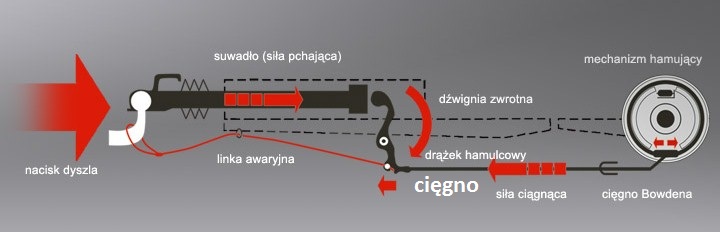 auflaufeinrichtung_pol